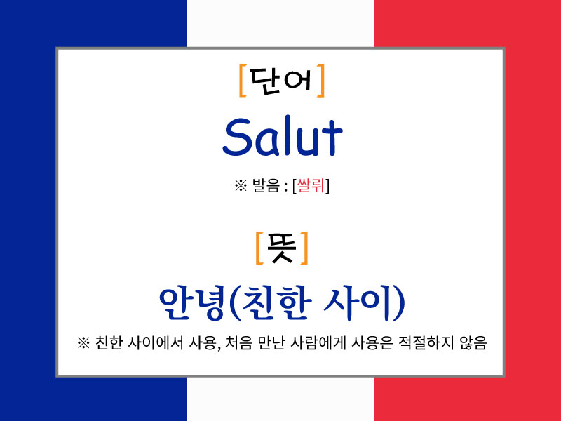 프랑스 국기 배경 위에 'Salut'라는 단어와 발음 [쌀뤼], 뜻은 '안녕(친한 사이)'이라고 설명된 이미지. 처음 만난 사람에게는 사용하지 않는 인사말이라고 안내되어 있음