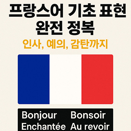 You are currently viewing 프랑스어 기초 표현 14가지 완전 정복 – 인사, 감사, 작별까지!