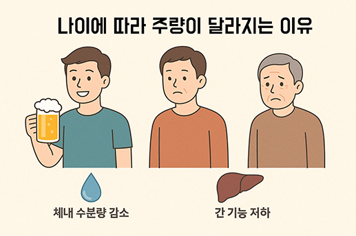 젊은이, 중년, 노인 세 인물이 순서대로 서 있으며, 연령 증가에 따라 체내 수분량 감소와 간 기능 저하가 시각적으로 표현된 일러스트