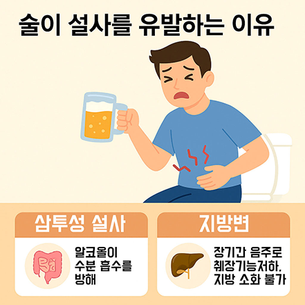 술을 마신 뒤 설사를 겪는 사람의 이미지와 함께 삼투성 설사, 지방변 등의 원인을 설명한 인포그래픽