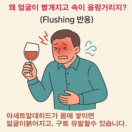 얼굴이 붉어지고 속이 울렁거리는 남성이 와인잔을 들고 있는 플러싱 반응 일러스트