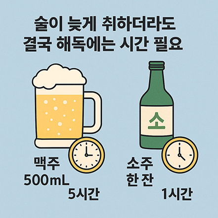맥주 500mL와 소주 한 잔의 해독 시간을 각각 5시간과 1시간으로 표시한 인포그래픽 이미지