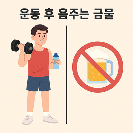 운동 후 물을 마시는 사람과 운동 후 술을 마시는 사람을 비교하며 술이 근육 합성을 방해하는 모습을 보여주는 일러스트