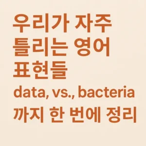 Read more about the article 우리가 잘못 쓰는 영어 표현들 – data, vs., bacteria까지 한 번에 정리
