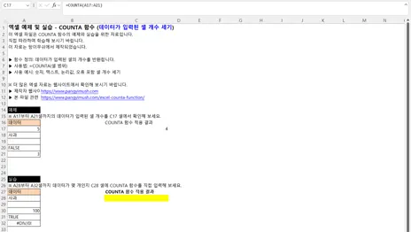 엑셀에서 COUNTA 함수를 사용해 데이터가 입력된 셀 개수를 세는 예제와 실습 화면