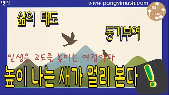 Read more about the article 높이 나는 새가 멀리 본다 – 인생은 고도를 높이는 여정이다