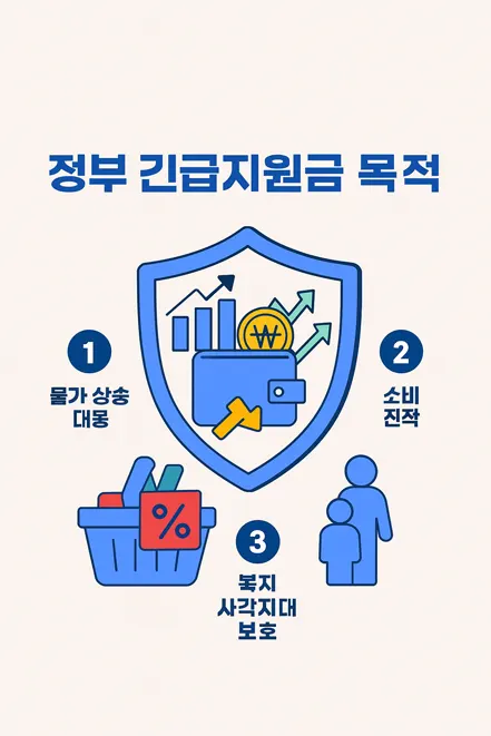 정부 긴급생활지원금의 지원 이유와 목적을 설명하는 인포그래픽