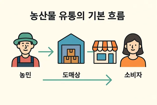 농산물 유통의 기본 흐름을 나타내는 인포그래픽, 농민에서 도매상, 소매상, 소비자로 이어지는 과정