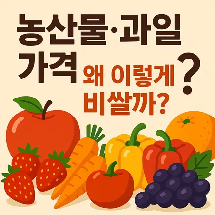 농산물과 과일 가격이 왜 비싼지 묻는 텍스트와 다양한 과일·채소 일러스트