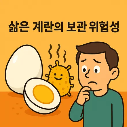 삶은 계란의 보관 위험성을 나타내는 재미있는 일러스트