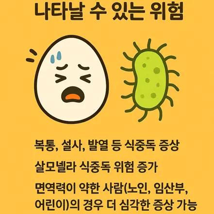 잘못 보관한 삶은 계란의 위험성을 설명하는 인포그래픽