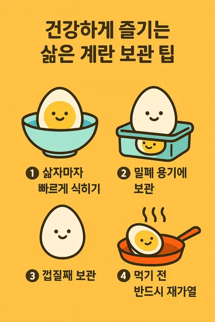 건강하게 삶은 계란을 보관하는 방법을 안내하는 인포그래픽