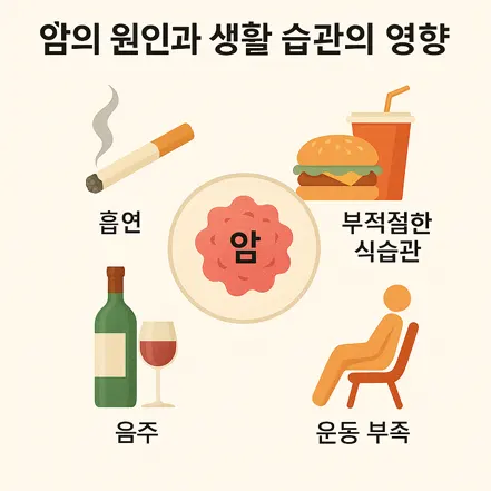 암의 원인과 생활 습관의 영향을 보여주는 인포그래픽