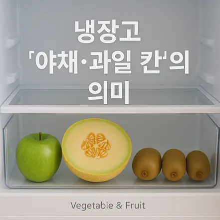 냉장고 야채·과일 칸에 사과, 반쪽 멜론, 키위가 정리된 모습과 ‘냉장고 야채·과일 칸의 의미’ 문구