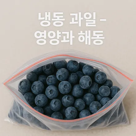 냉동 블루베리가 담긴 지퍼백과 ‘냉동 과일 - 영양과 해동’ 문구