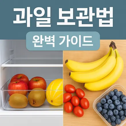 과일 보관법 완벽 가이드를 나타내는 이미지, 냉장고 속 사과·키위·참외와 상온의 바나나·방울토마토·블루베리