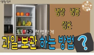 Read more about the article 과일 보관법 완벽 가이드 – 냉장, 상온, 냉동까지 신선하게 유지하는 비법