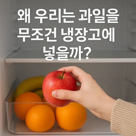 냉장고 속 과일 칸에 사과를 넣는 손과 ‘왜 우리는 과일을 무조건 냉장고에 넣을까?’라는 문구