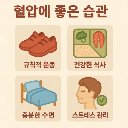 규칙적 운동, 건강한 식사, 충분한 수면, 스트레스 관리 등 혈압에 좋은 습관을 나타낸 인포그래픽