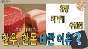 한우와 한돈이 수입산보다 비싼 이유를 설명하는 인포그래픽 스타일 썸네일 이미지