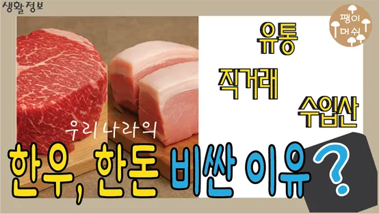 You are currently viewing 한우 가격, 한돈 가격이 수입산보다 비싼 이유 – 유통 구조와 가격의 비밀