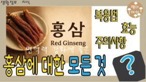 홍삼에 대한 모든 것 썸네일 - 유래, 효능, 복용법, 주의사항을 담은 블로그 이미지