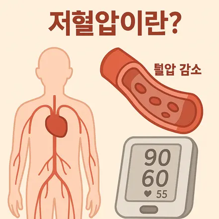 심장, 혈관, 혈압계를 통해 혈압이 낮아진 상태인 저혈압을 설명하는 인포그래픽