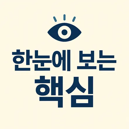 눈 아이콘과 함께 '한눈에 보는 핵심'이라는 문구가 적힌 인포그래픽