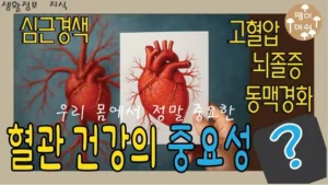 혈관 건강의 중요성을 강조하는 썸네일 이미지 - 심장과 혈관 그림, 심근경색·고혈압·뇌졸중·동맥경화 문구 포함