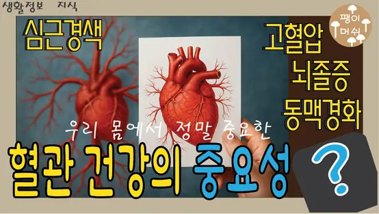 Read more about the article 혈관 건강이 우리 삶에 미치는 영향과 지켜야 할 습관들