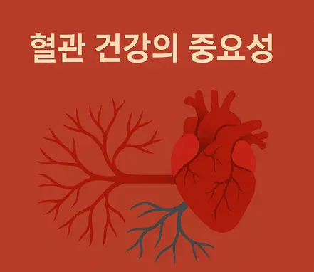 심장과 혈관 일러스트와 함께 '혈관 건강의 중요성' 문구가 있는 이미지