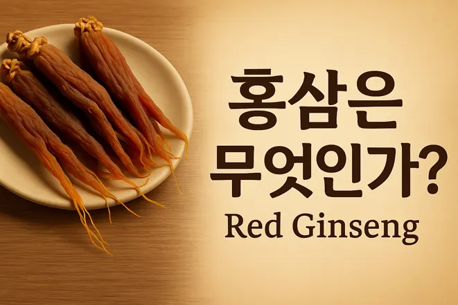 접시에 올려진 홍삼과 '홍삼은 무엇인가? Red Ginseng' 문구가 함께 있는 이미지