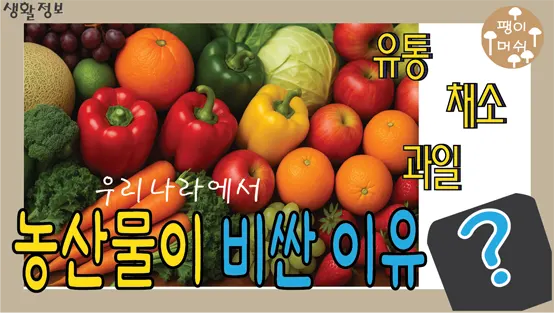 You are currently viewing 농산물 가격과 과일 가격이 오르는 진짜 이유 – 유통 구조의 숨겨진 진실