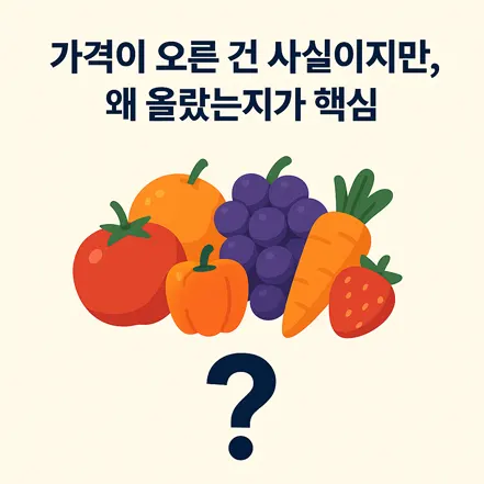 가격이 오른 건 사실이지만 왜 올랐는지가 핵심이라는 문구와 과일·채소 일러스트
