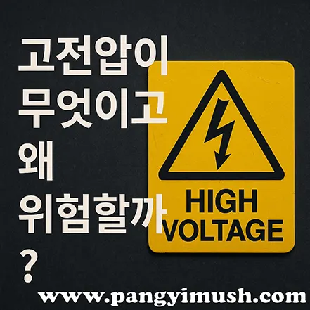고전압 경고 표지판과 "고전압이 무엇이고 왜 위험할까?"라는 문구가 적힌 이미지