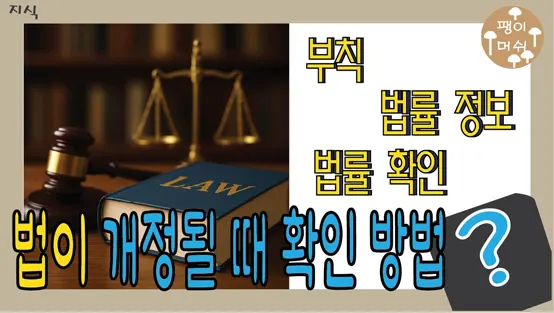 You are currently viewing 법이 바뀔 때 개정될 때 꼭 확인해야 할 법 부칙 확인 방법 – 일반인도 쉽게 알 수 있는 방법