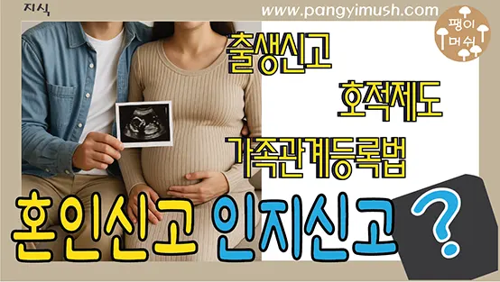 You are currently viewing 인지신고 – 혼인신고 없이 아이를 호적과 가족관계등록부에 올리고 등재하는 방법과 장단