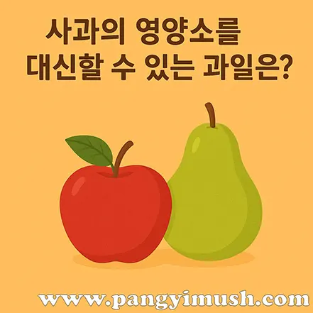 주황색 배경 위에 사과와 배가 나란히 놓여 있고, 상단에는 ‘사과의 영양소를 대신할 수 있는 과일은?’이라는 문구가 적혀 있는 이미지