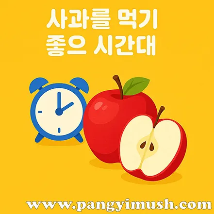 노란 배경 위에 빨간 사과와 파란 자명종 시계가 함께 놓여 있고, 상단에는 ‘사과를 먹기 좋은 시간대’라는 문구가 적혀 있는 이미지