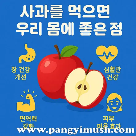 파란 배경 위에 사과 그림과 함께 장 건강, 심혈관 건강, 면역력 강화, 피부 미용 효과를 나타내는 아이콘이 배치된 인포그래픽 이미지