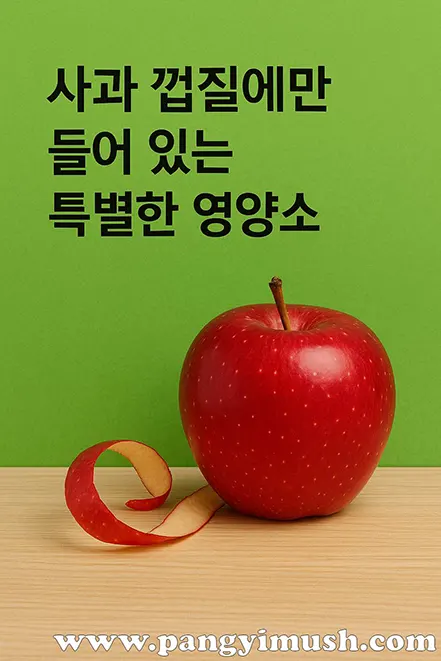 녹색 배경 위에 사과 껍질이 살짝 벗겨진 빨간 사과가 놓여 있고, 상단에는 ‘사과 껍질에만 들어 있는 특별한 영양소’라는 문구가 적혀 있는 이미지