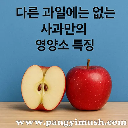파란 배경 위에 통사과와 반으로 자른 사과가 놓여 있고, 상단에는 ‘다른 과일에는 없는 사과만의 영양소 특징’ 문구가 적혀 있는 이미지