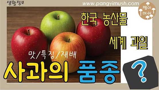 You are currently viewing 사과 품종 완전 정리 – 시나노스위트부터 부사까지 맛·특징·재배 지역 총정리