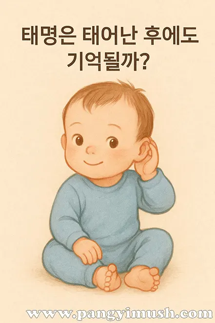 ‘태명은 태어난 후에도 기억될까?’ 문구와 귀엽게 웃으며 귀를 기울이는 아기 일러스트