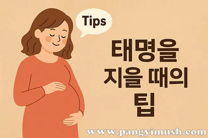 ‘태명을 지을 때의 팁’ 문구와 임신한 여성이 배를 감싸고 있는 따뜻한 일러스트