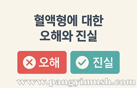 혈액형에 대한 오해와 진실을 구분한 인포그래픽 – 오해는 X표, 진실은 체크표로 표시