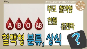 ABO 혈액형 피방울 이미지와 혈액형, 유전, 헌혈 상식을 표현한 썸네일