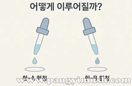 혈액형 검사 과정을 설명하는 한글 인포그래픽 – 항-A, 항-B 혈청과 응집 반응 비교