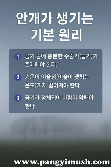 안개가 생기는 기본 원리를 설명하는 이미지 – 수증기, 이슬점, 바람의 약한 상태가 안개 형성 조건임을 나타낸 인포그래픽