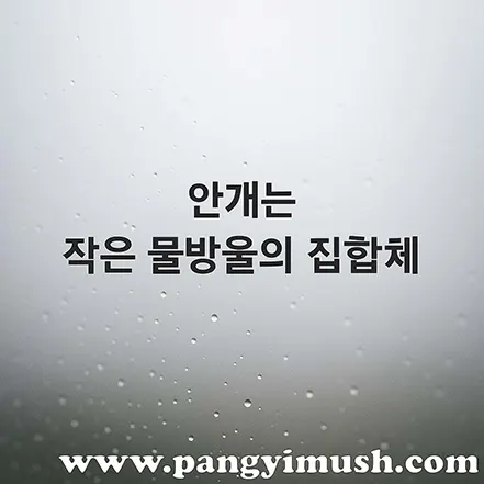 안개는 작은 물방울의 집합체라는 문구가 적힌 이미지 – 공기 중에 떠 있는 미세한 물방울이 배경에 보이는 장면